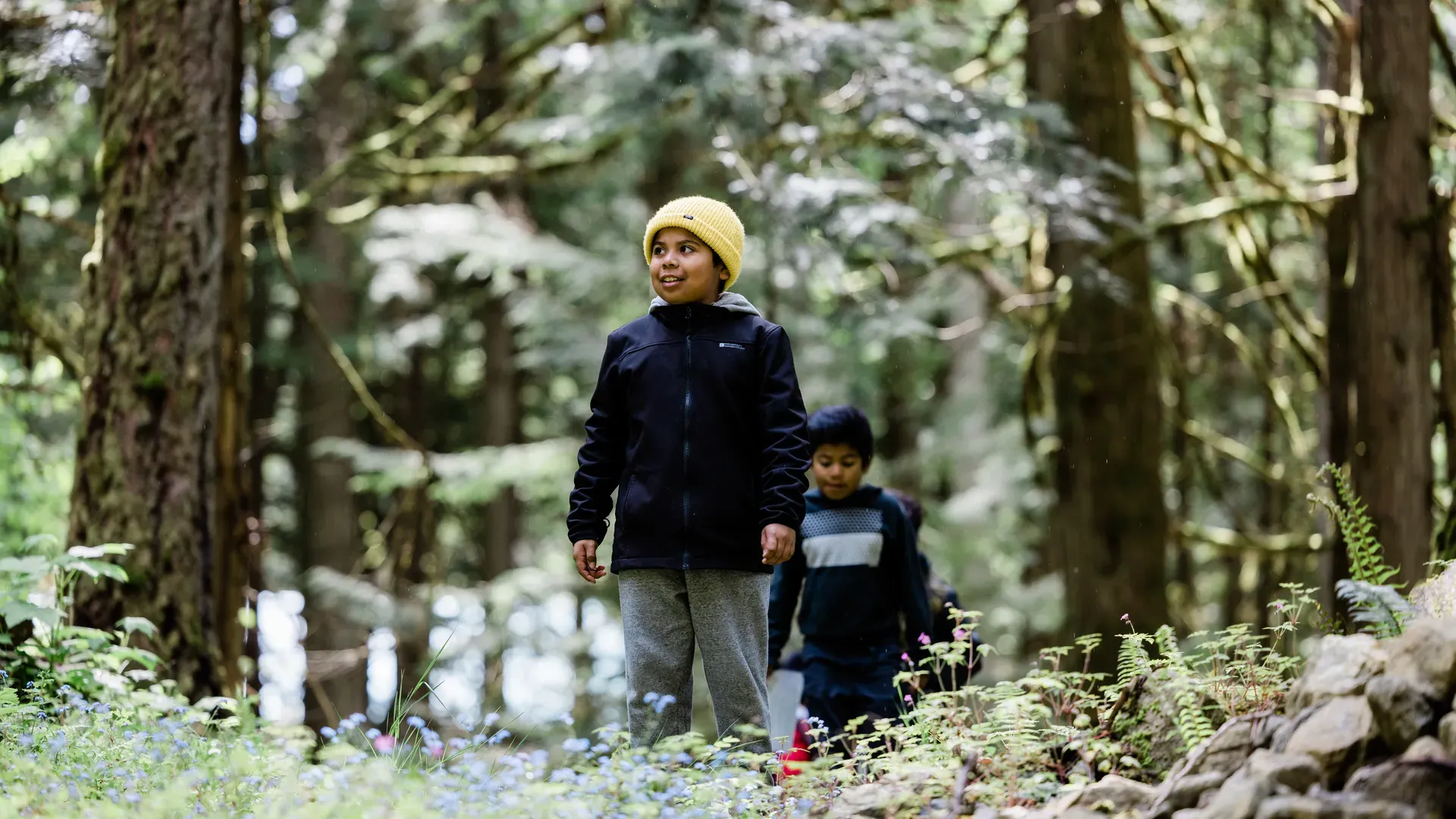 Cheerful kids in the forest